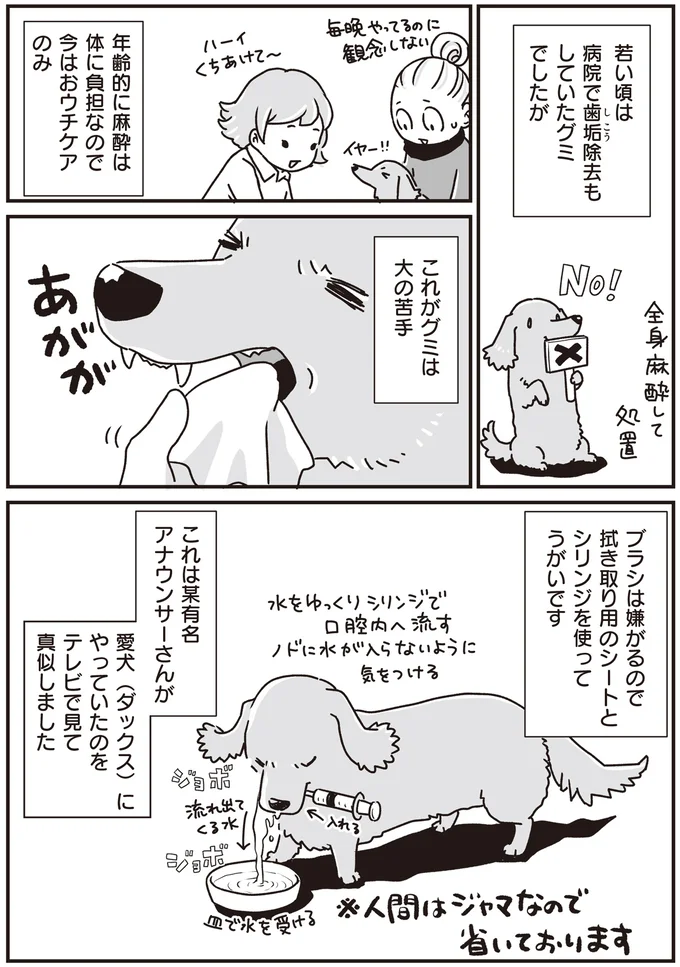 『何度でも言うね、大好きだよ 愛犬グミと銀次郎と過ごした日々』 16295572.webp