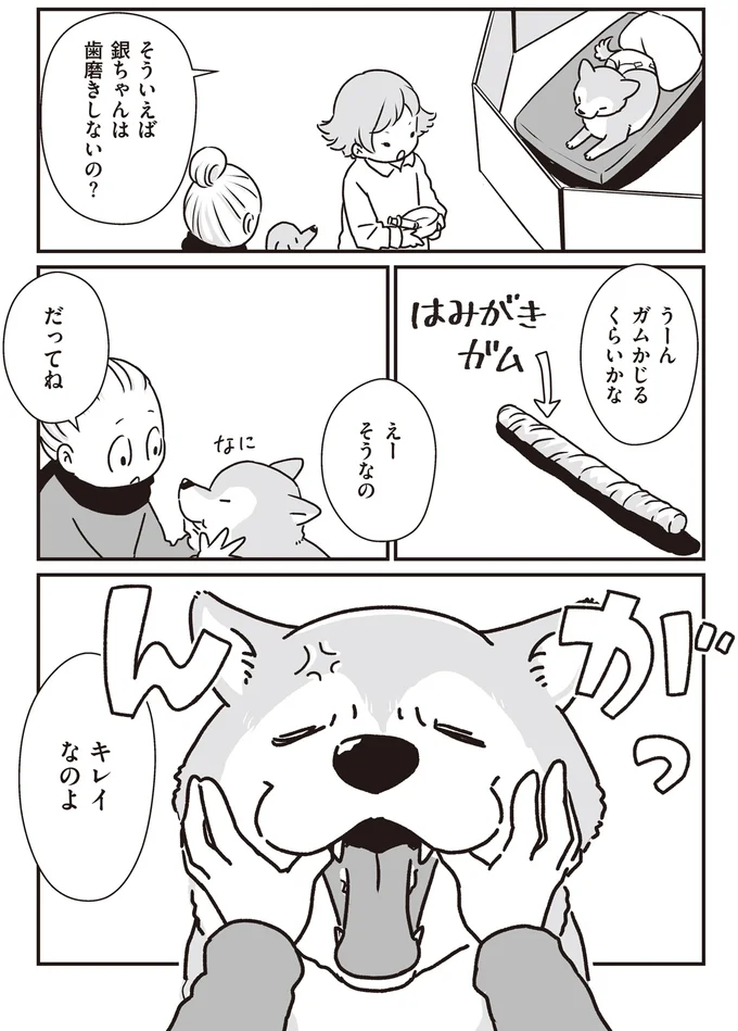 『何度でも言うね、大好きだよ 愛犬グミと銀次郎と過ごした日々』 16295573.webp