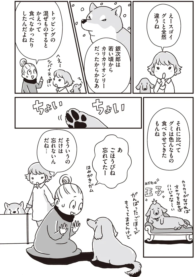 『何度でも言うね、大好きだよ 愛犬グミと銀次郎と過ごした日々』 16295574.webp