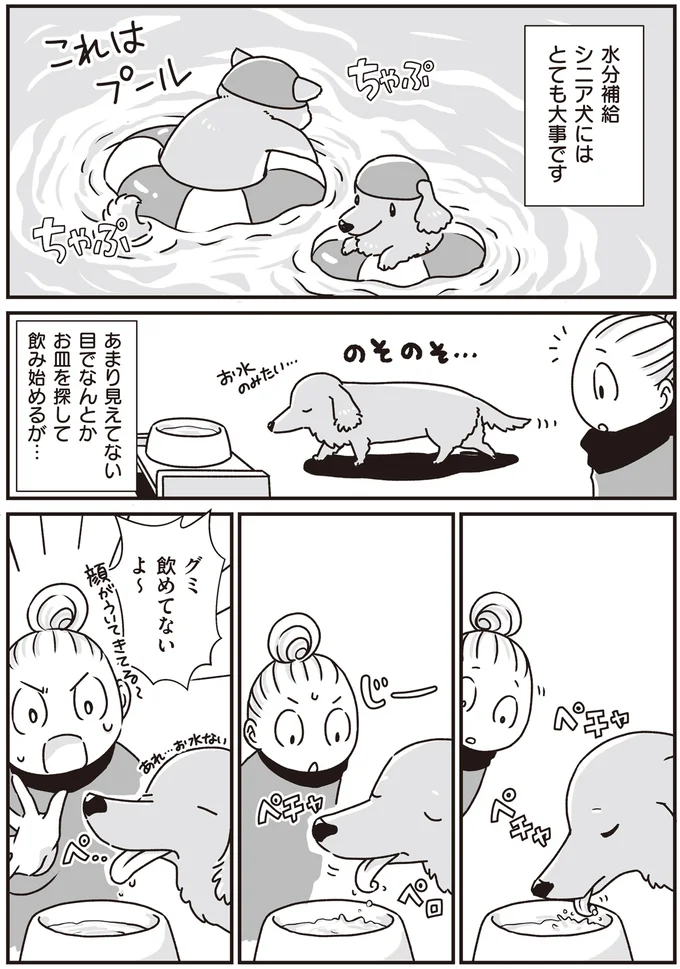 『何度でも言うね、大好きだよ 愛犬グミと銀次郎と過ごした日々』 16295628.webp