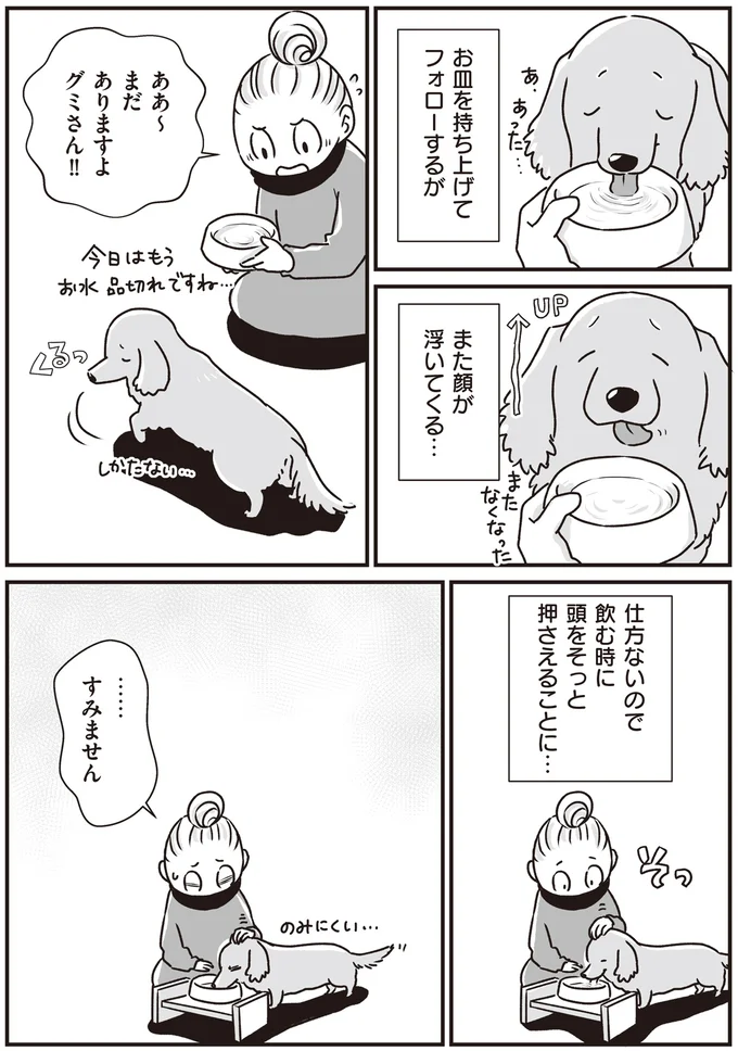 『何度でも言うね、大好きだよ 愛犬グミと銀次郎と過ごした日々』 16295629.webp