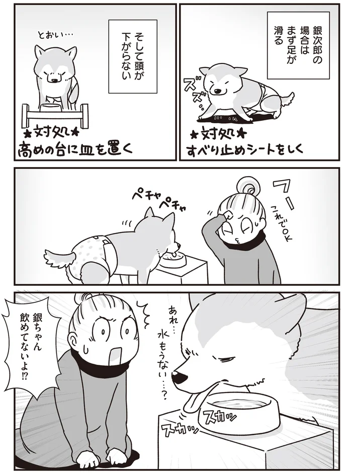 『何度でも言うね、大好きだよ 愛犬グミと銀次郎と過ごした日々』 16295630.webp