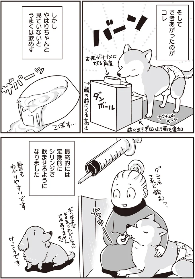 『何度でも言うね、大好きだよ 愛犬グミと銀次郎と過ごした日々』 16295631.webp