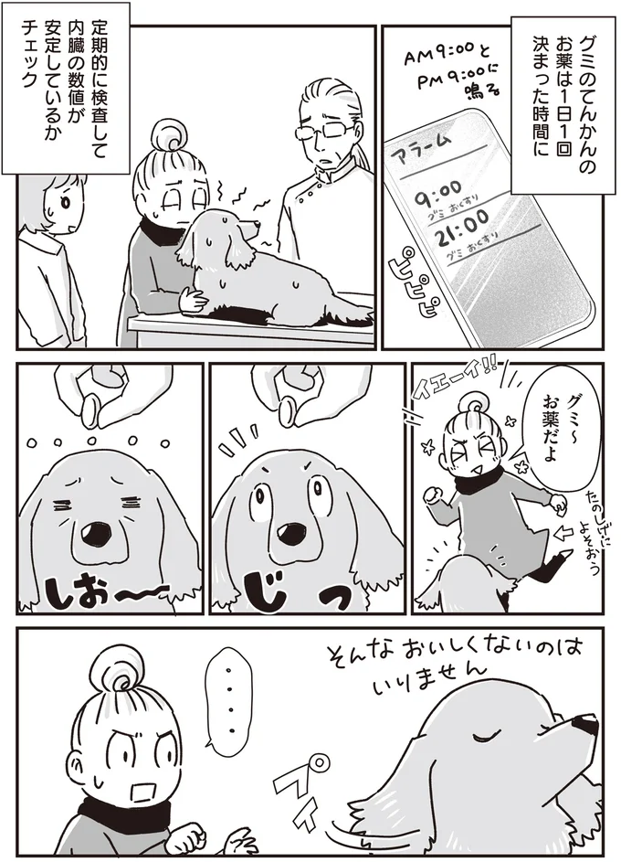ミニチュアダックスVS飼い主。生涯続いた投薬バトル／愛犬グミと銀次郎と過ごした日々 16295638.webp