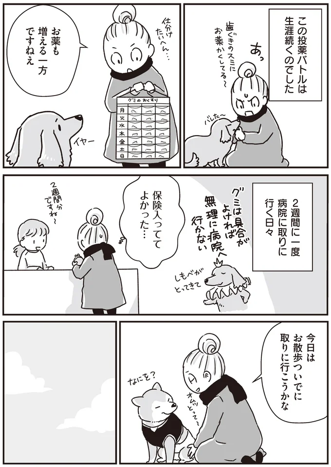 ミニチュアダックスVS飼い主。生涯続いた投薬バトル／愛犬グミと銀次郎と過ごした日々 16295641.webp