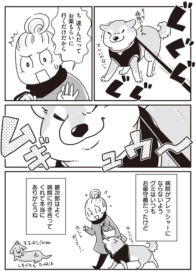 ミニチュアダックスVS飼い主。生涯続いた投薬バトル／愛犬グミと銀次郎と過ごした日々 16295644.webp