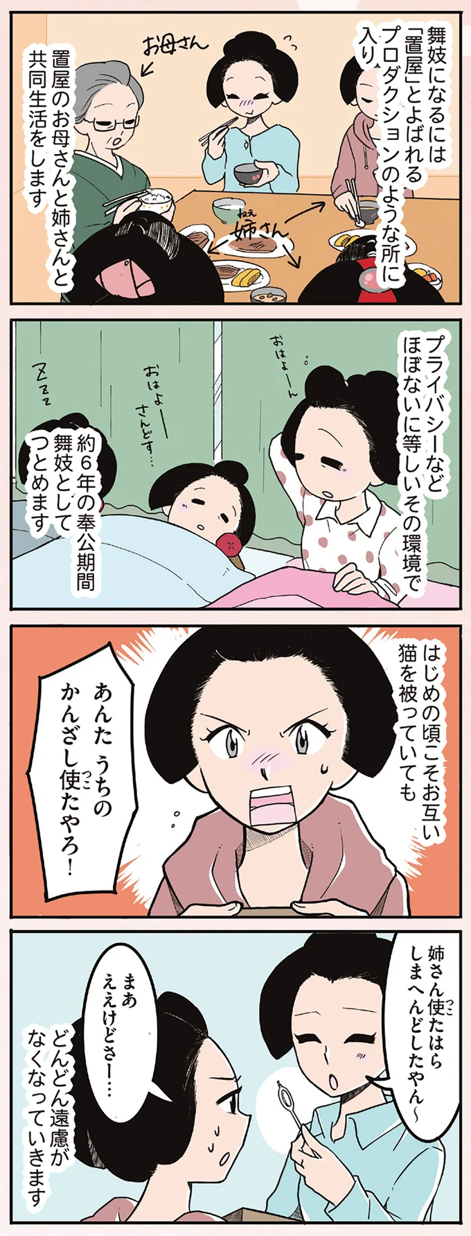 『舞妓をやめたそのあとで』 16337198.webp
