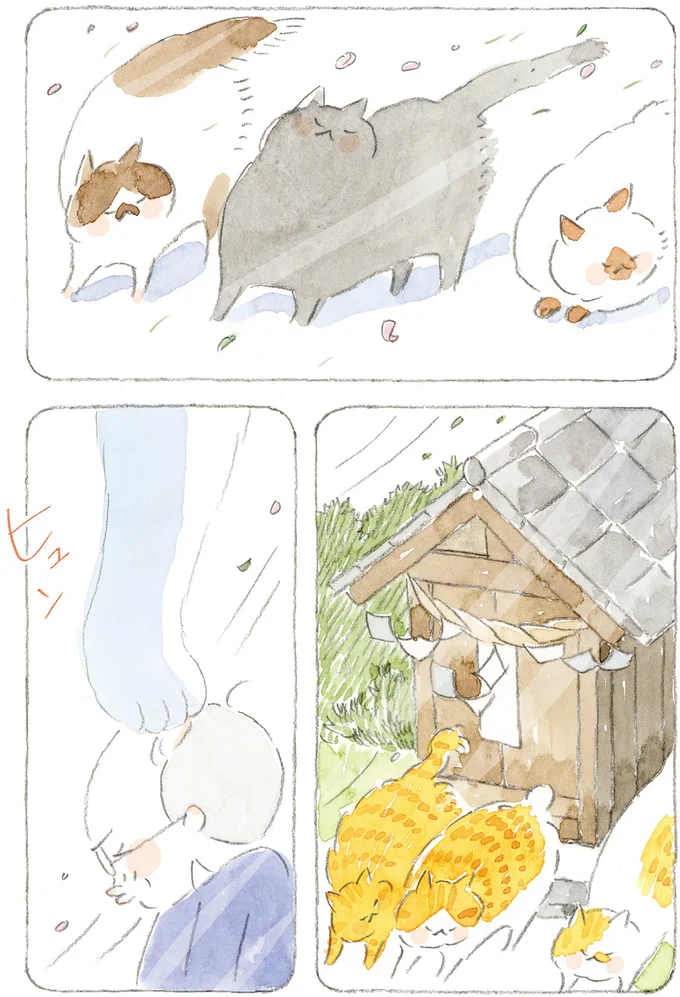 「海は荒れとるだろうなぁ」島の春に吹く猫疾風。まるで猫が駆け抜けていったよう／ねことじいちゃん12 16341660.webp