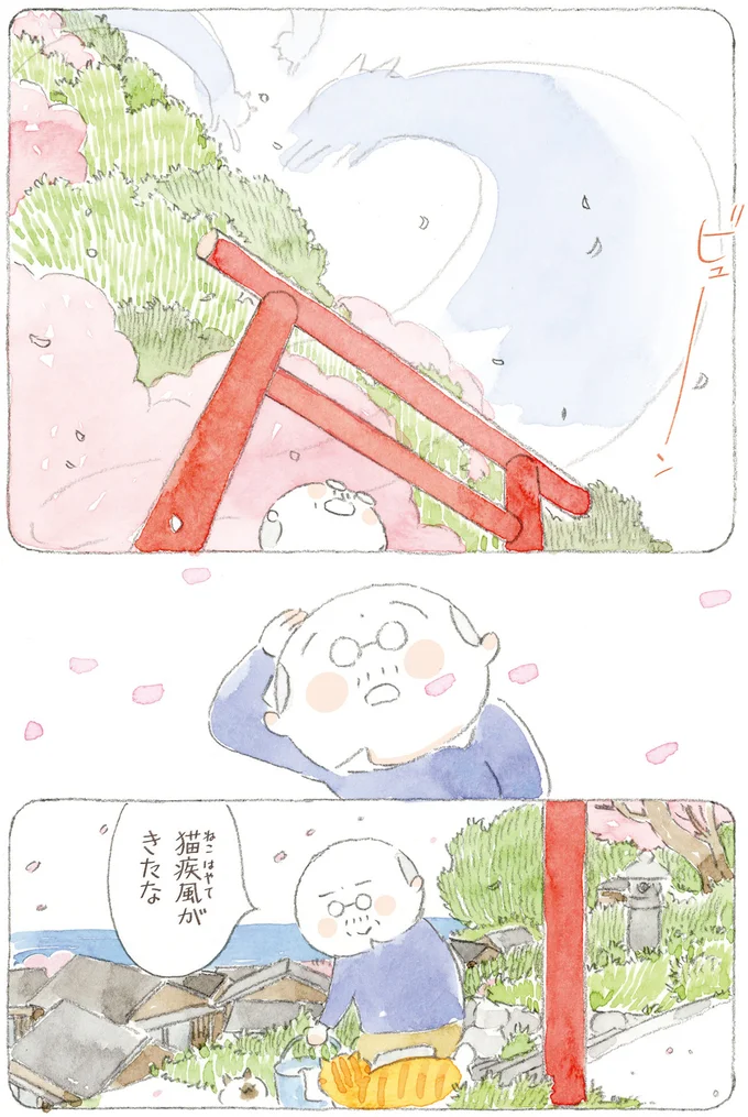 「海は荒れとるだろうなぁ」島の春に吹く猫疾風。まるで猫が駆け抜けていったよう／ねことじいちゃん12 16341661.webp