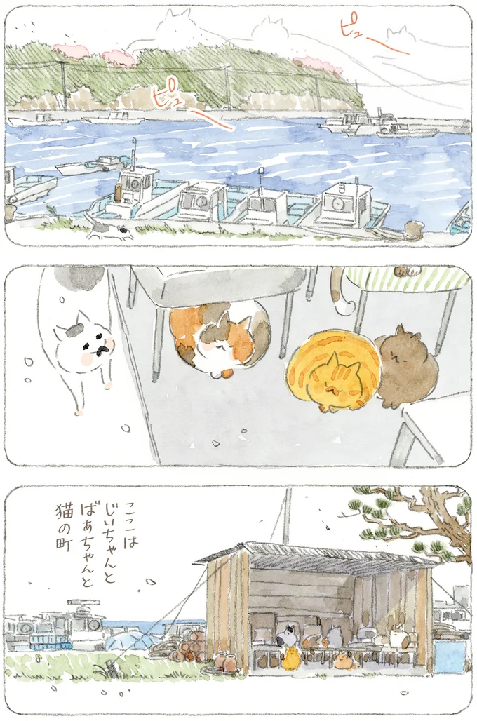「海は荒れとるだろうなぁ」島の春に吹く猫疾風。まるで猫が駆け抜けていったよう／ねことじいちゃん12 16341662.webp