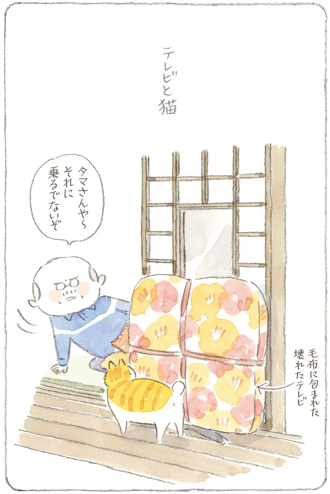 『ねことじいちゃん12』 16341754.webp