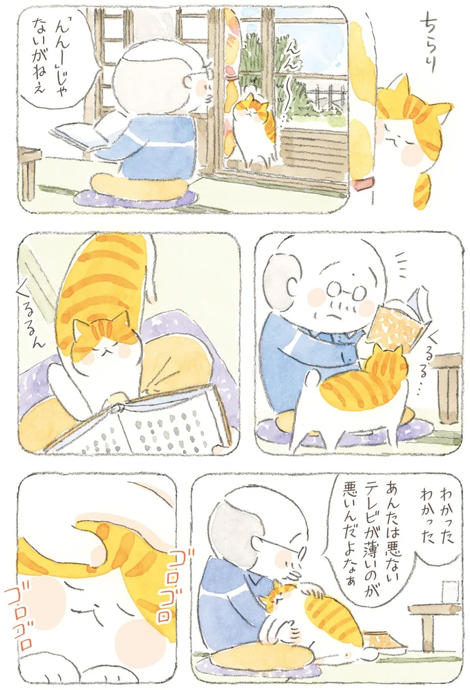 『ねことじいちゃん12』 16341755.webp