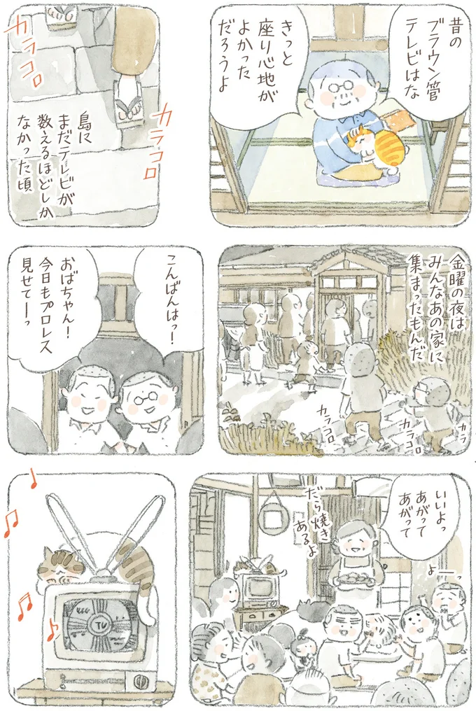 『ねことじいちゃん12』 16341756.webp
