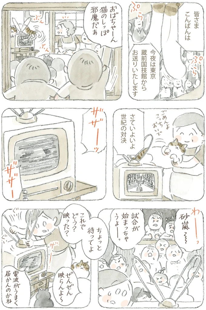 『ねことじいちゃん12』 16341758.webp