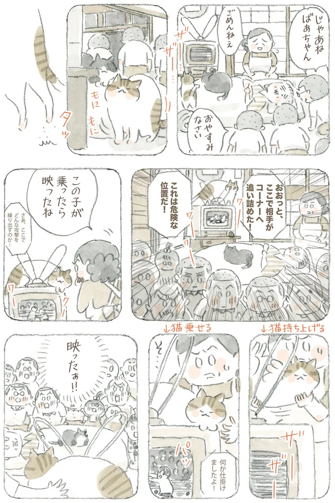 『ねことじいちゃん12』 16341760.webp