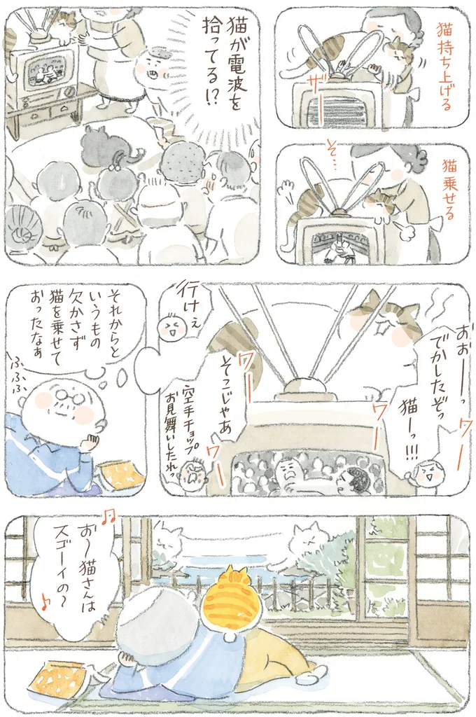 『ねことじいちゃん12』 16341761.webp