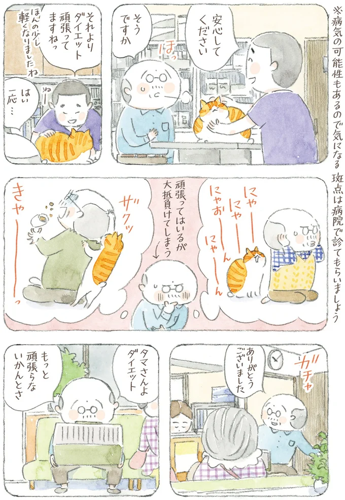 『ねことじいちゃん12』 16341768.webp