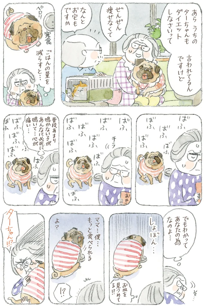 『ねことじいちゃん12』 16341769.webp