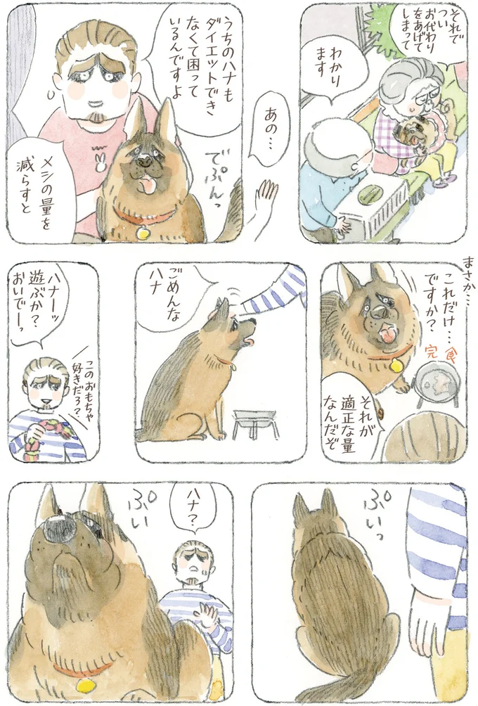 『ねことじいちゃん12』 16341770.webp