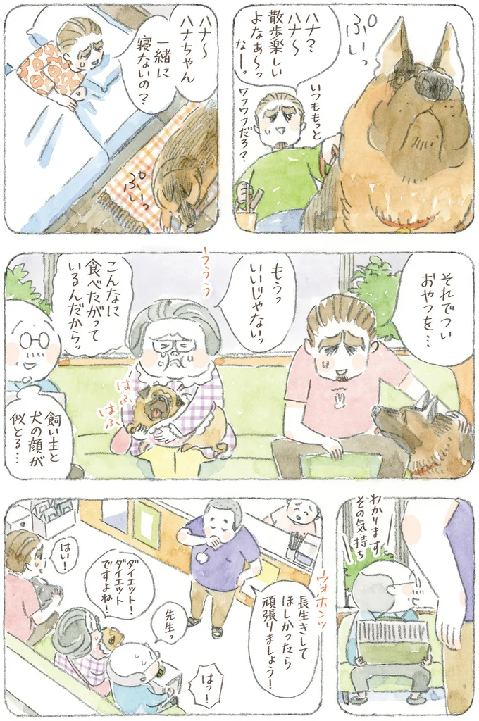 『ねことじいちゃん12』 16341771.webp
