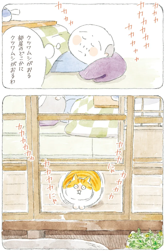 『ねことじいちゃん12』 16341783.webp