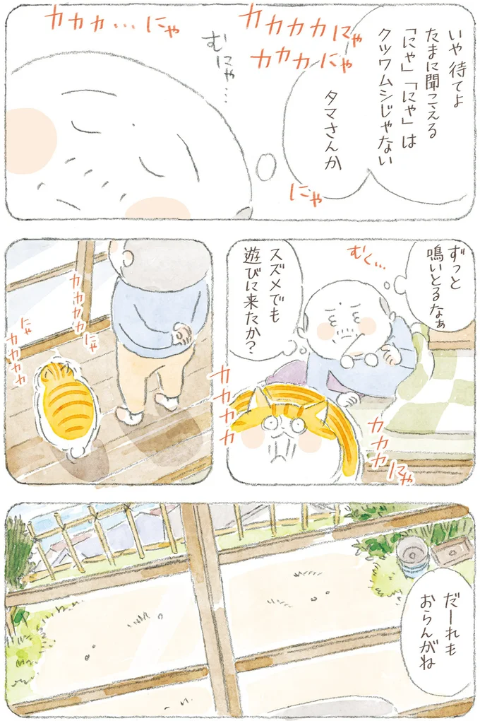 『ねことじいちゃん12』 16341784.webp