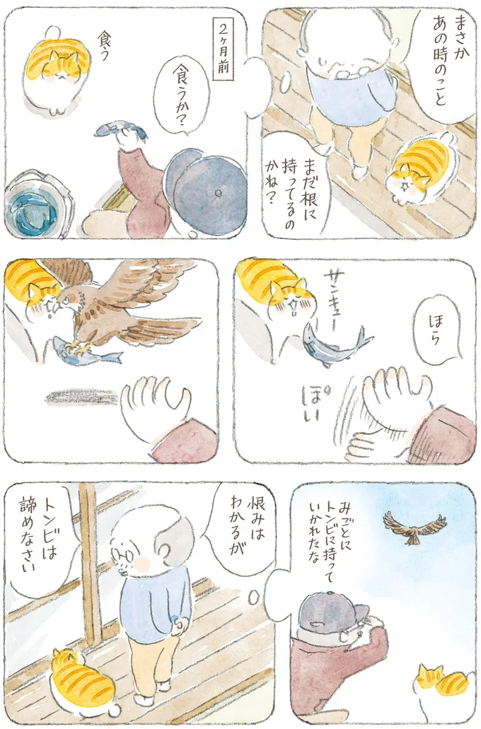 『ねことじいちゃん12』 16341786.webp