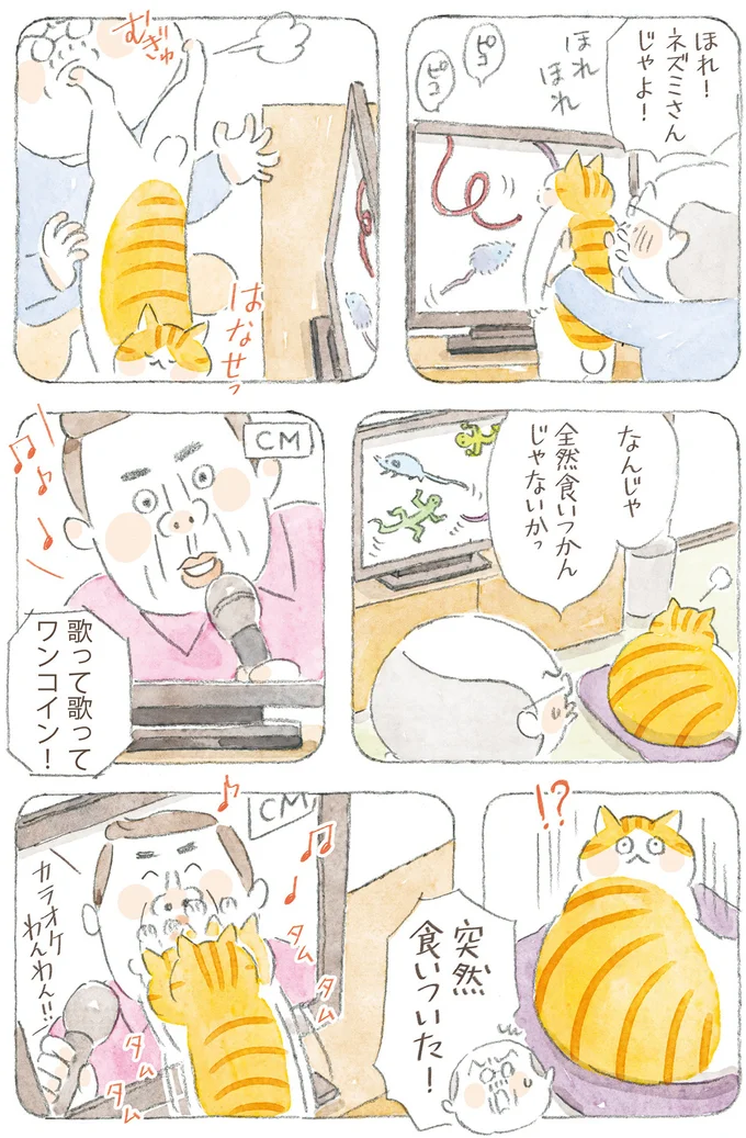 『ねことじいちゃん12』 16341788.webp