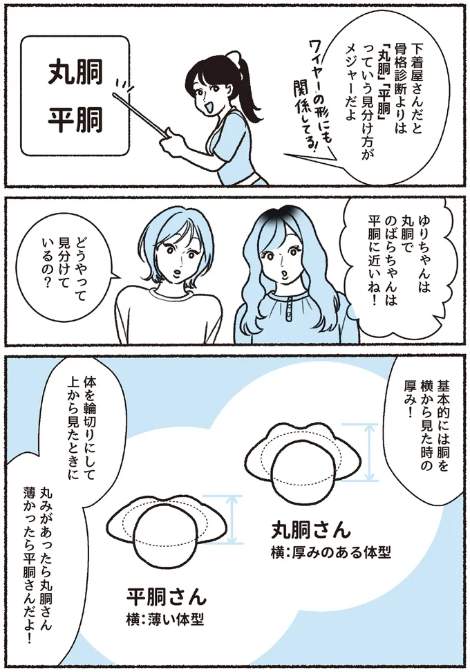 『悪いのはスタイルじゃなくて下着でした 一生モノの下着の教科書』 16394480.webp