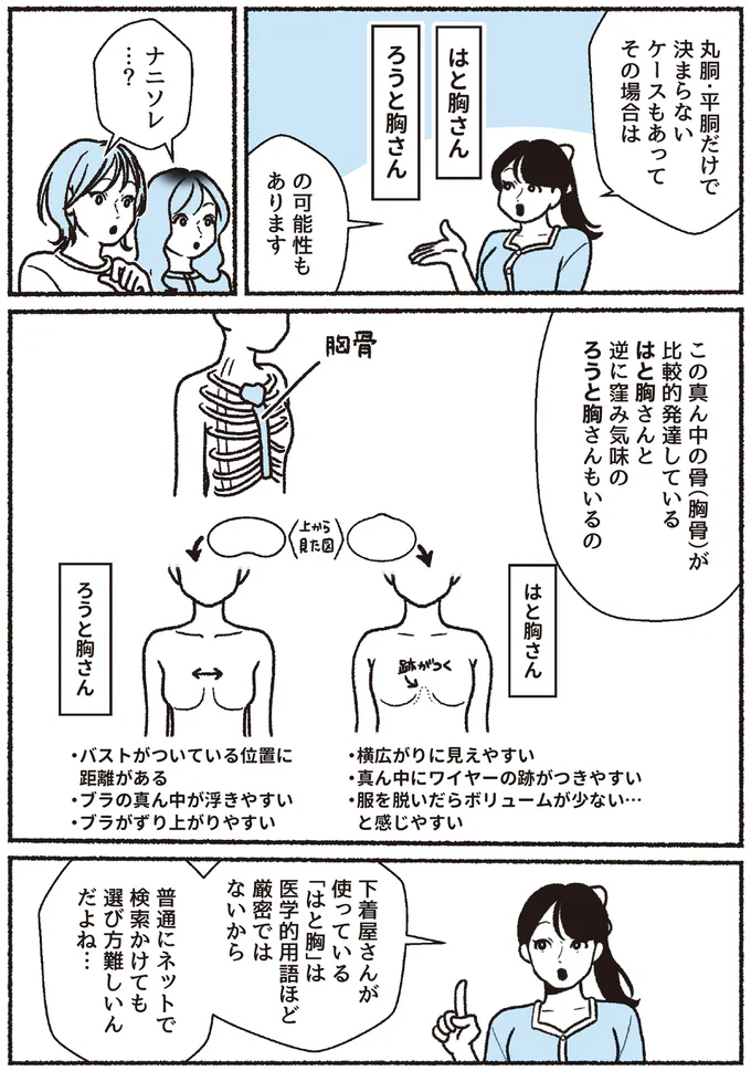 『悪いのはスタイルじゃなくて下着でした 一生モノの下着の教科書』 16394484.webp