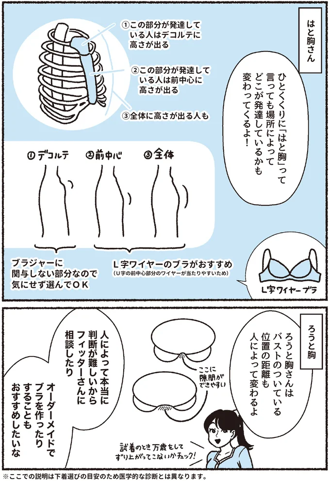 『悪いのはスタイルじゃなくて下着でした 一生モノの下着の教科書』 16394485.webp