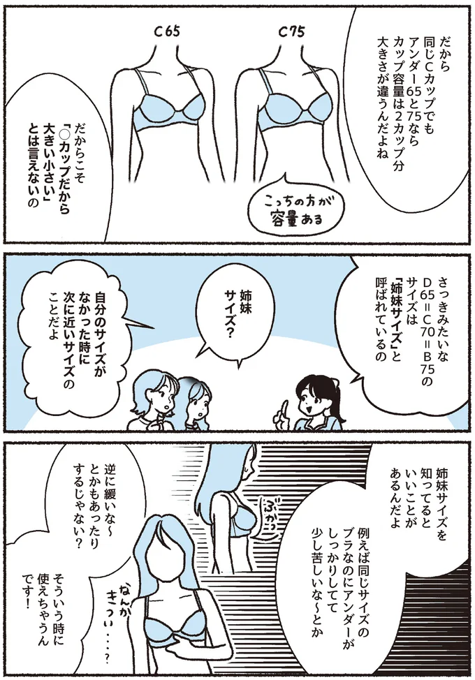 『悪いのはスタイルじゃなくて下着でした 一生モノの下着の教科書』 16394560.webp