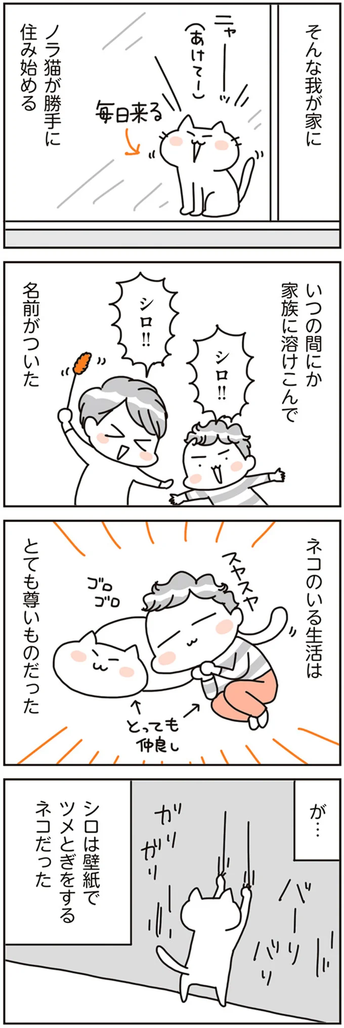 『賃貸か持ち家か？ こだわりマイホームを手放して賃貸生活でお金も貯まりました』 16468137.webp