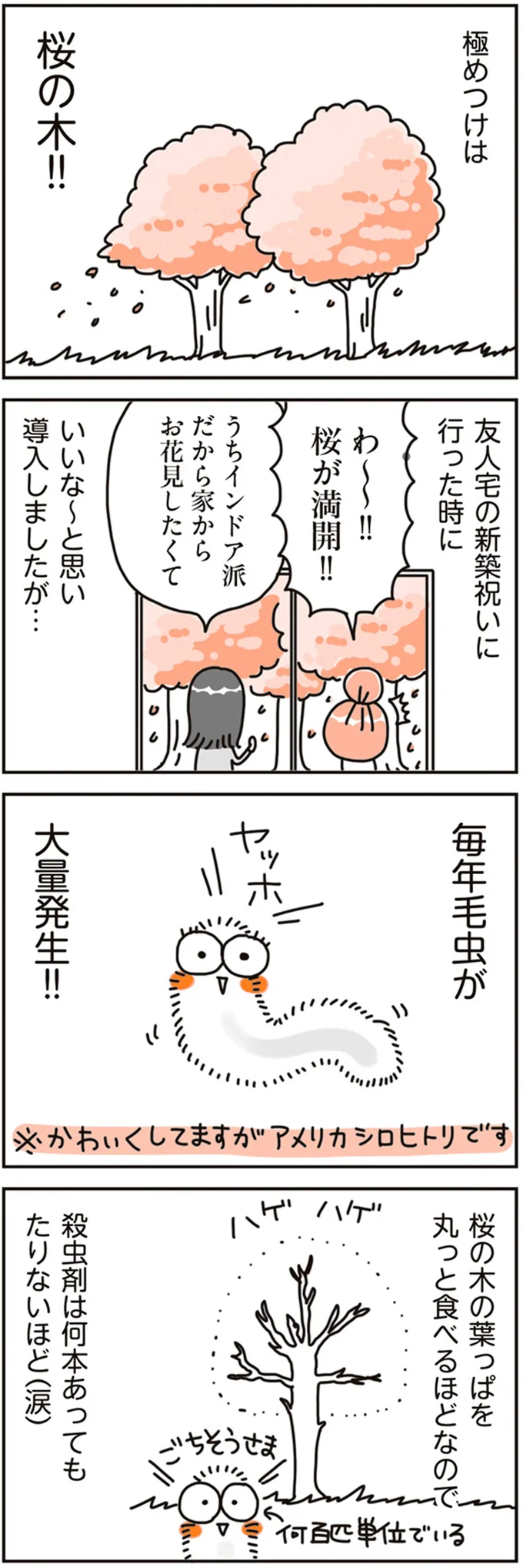 『賃貸か持ち家か？ こだわりマイホームを手放して賃貸生活でお金も貯まりました』 16468146.webp