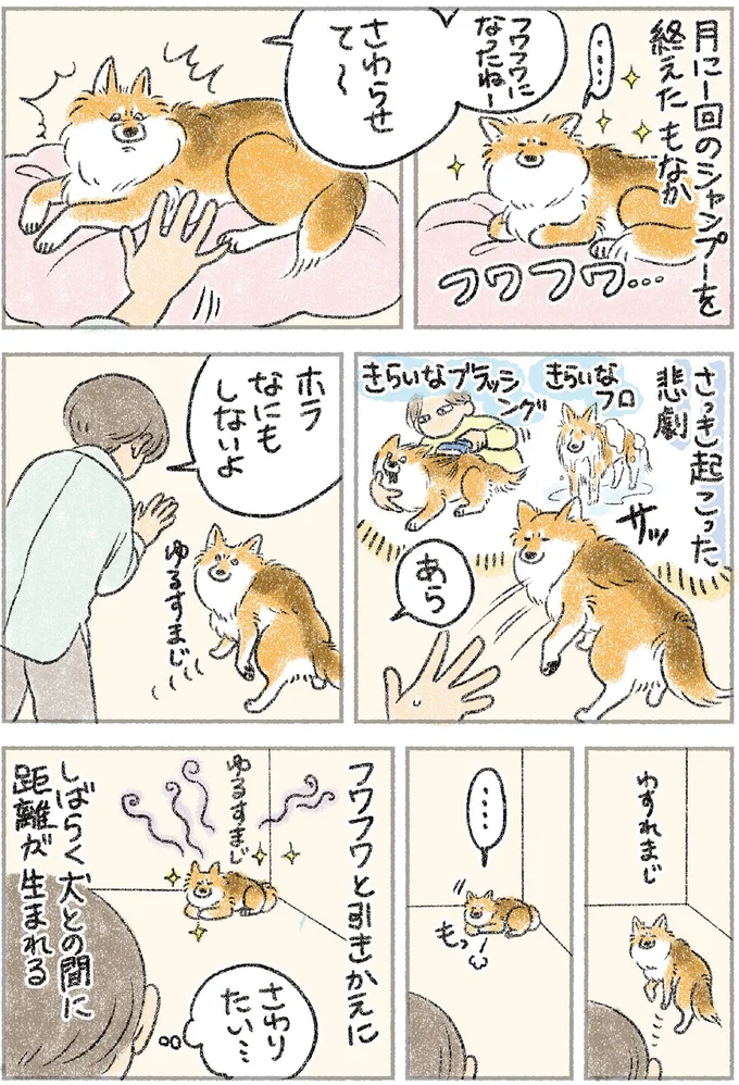 『犬を揉む　-ぺちょら... ときどき 帰宅拒否-』 104.webp