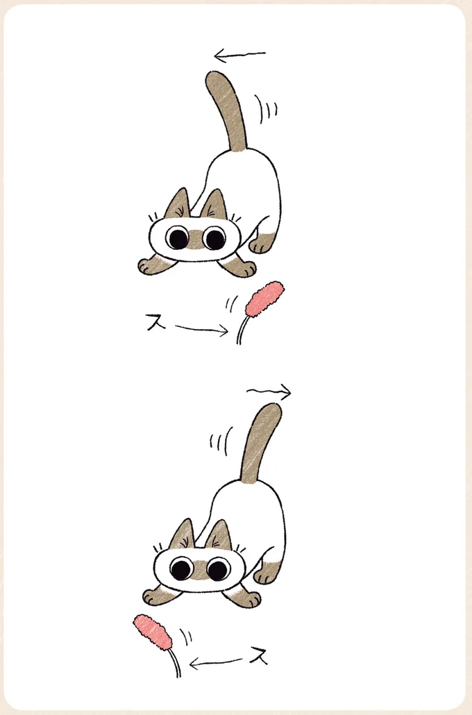 『シャム猫あずきさんは世界の中心』1〜2 07-03.png