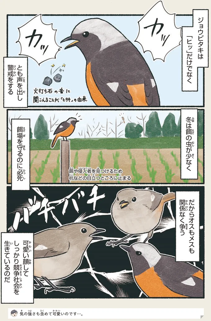 『意外と知らない鳥の生活 1〜2』 202.webp