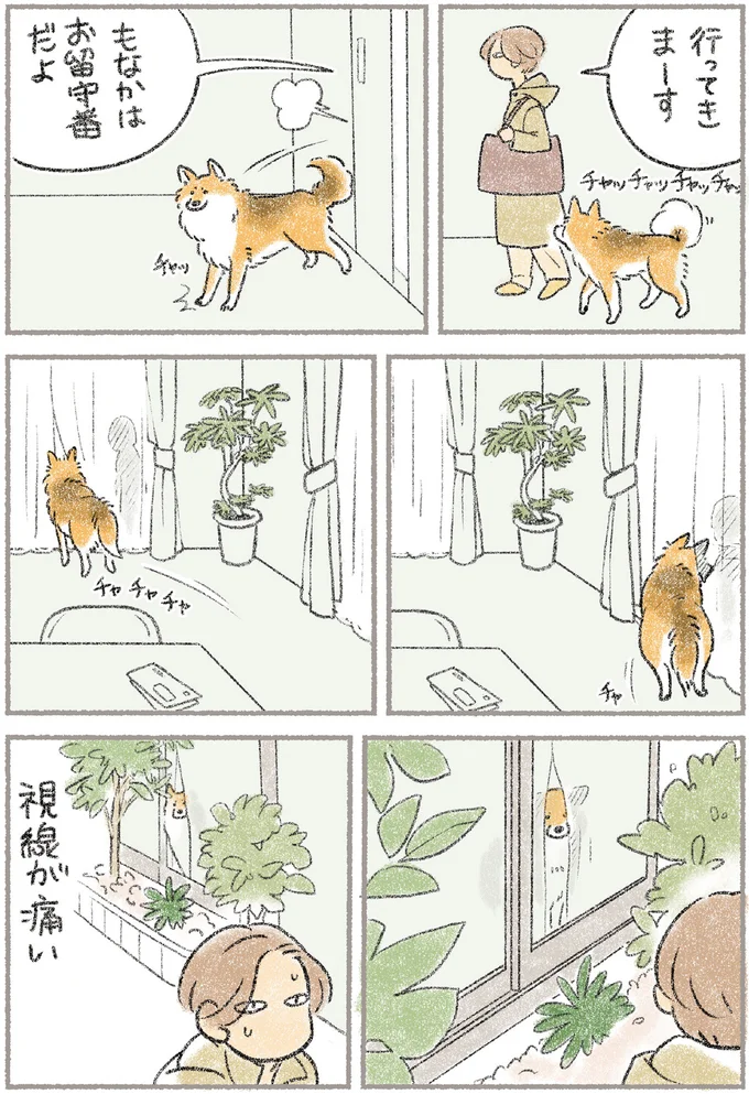 そこで寝るんかい！ 自由気ままな愛犬もなかの寝床へのこだわり／犬を揉む 1.png