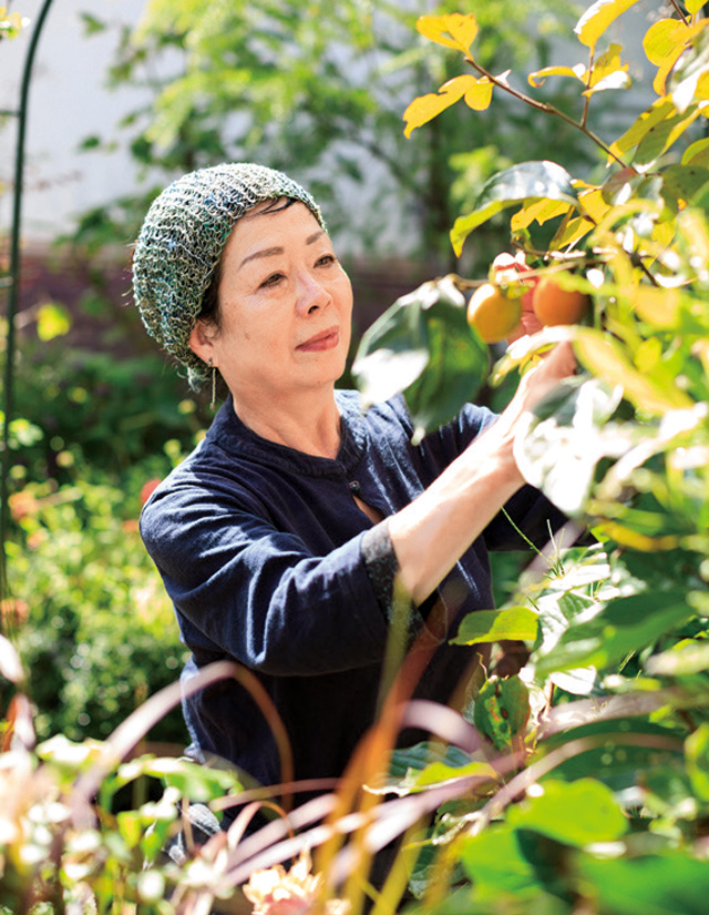 庭の恵みで作るお手製柚子こしょうで冬料理を香りよく／水谷昭美さんの冬支度（３） 