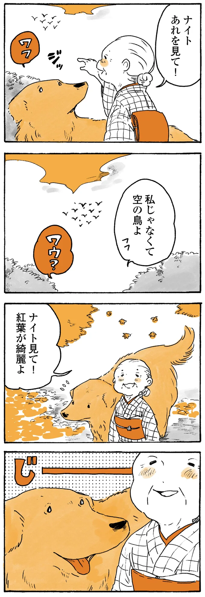 『姫ばあちゃんとナイト　ふたりはきょうも』 176.png