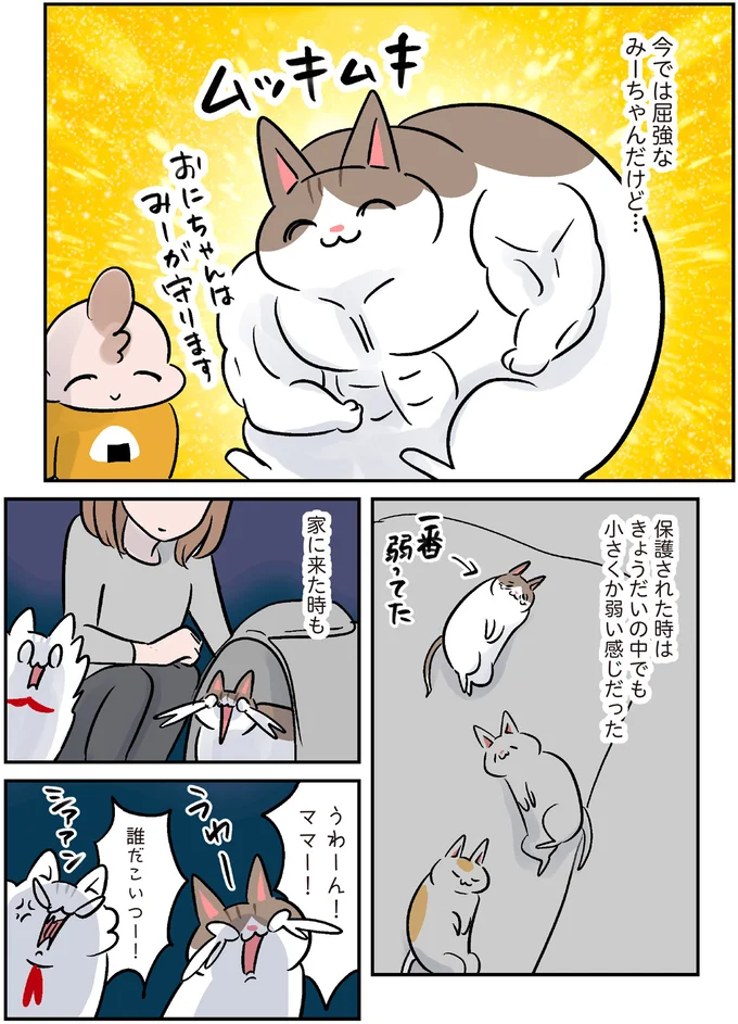猫はどこに行った？新しい家に引っ越したら...え、ここ？／マジレス幼児とモンペ猫 71.webp