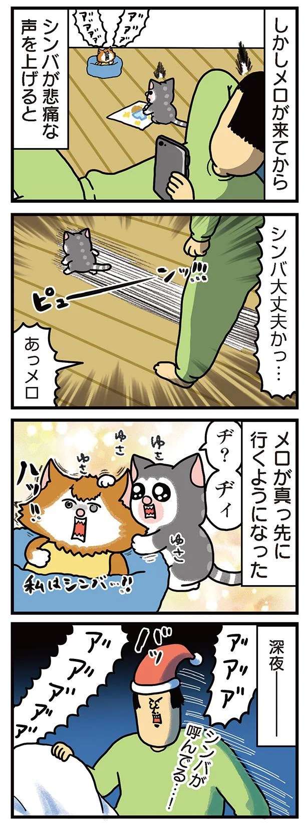 家族のようになった猫たち...時折パニックになる猫に救世主が／まめきちまめこニートの日常 3 mameko30_2.jpeg