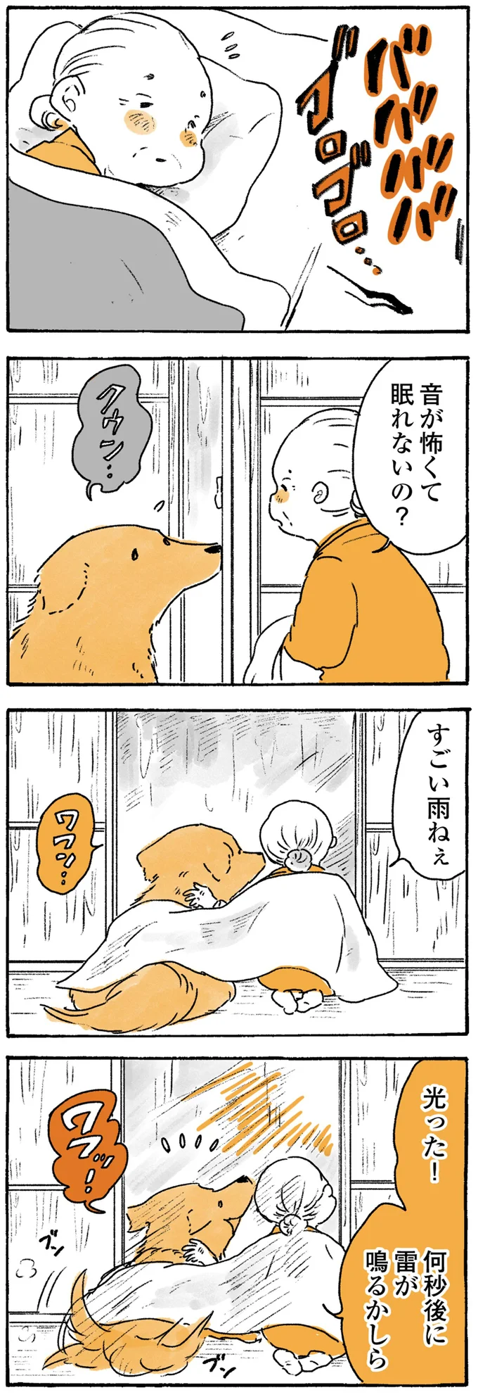 「あれを見て」鳥を指さすおばあちゃん。愛犬の反応は...／姫ばあちゃんとナイト 174.png