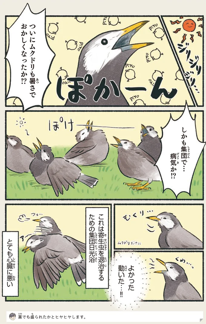 『意外と知らない鳥の生活 1〜2』 71.webp