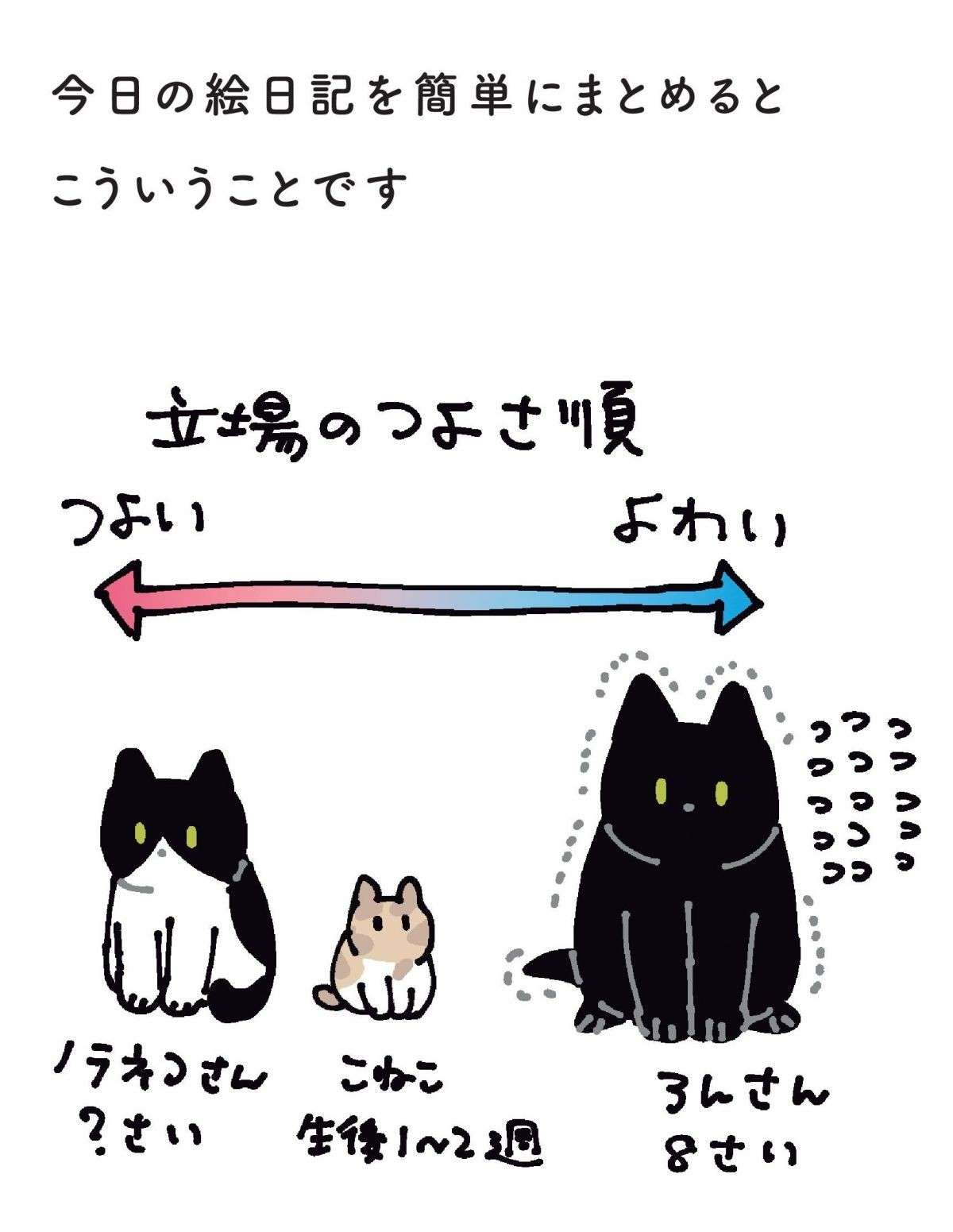 うちの猫が、子猫を見て大興奮。その喜びと気遣いが愛おしすぎて／黒猫ろんと暮らしたら 15.jpg