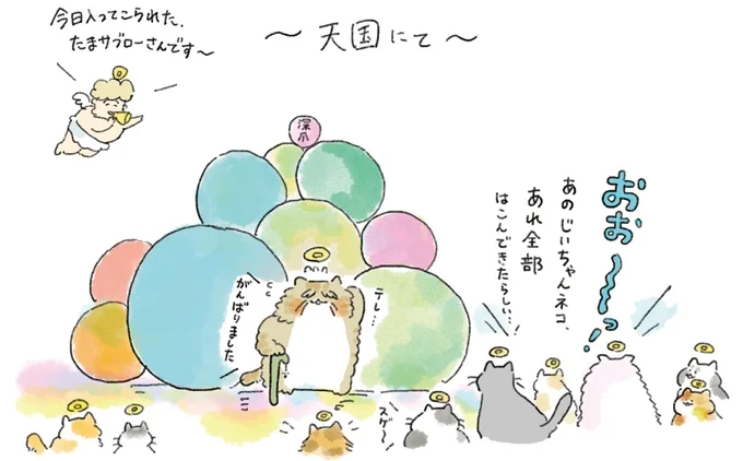 飼い主の不幸を背負っていける!? この世を去る予定のネコが選んだのは...／天国での暮らしはどうですか 01-05.png