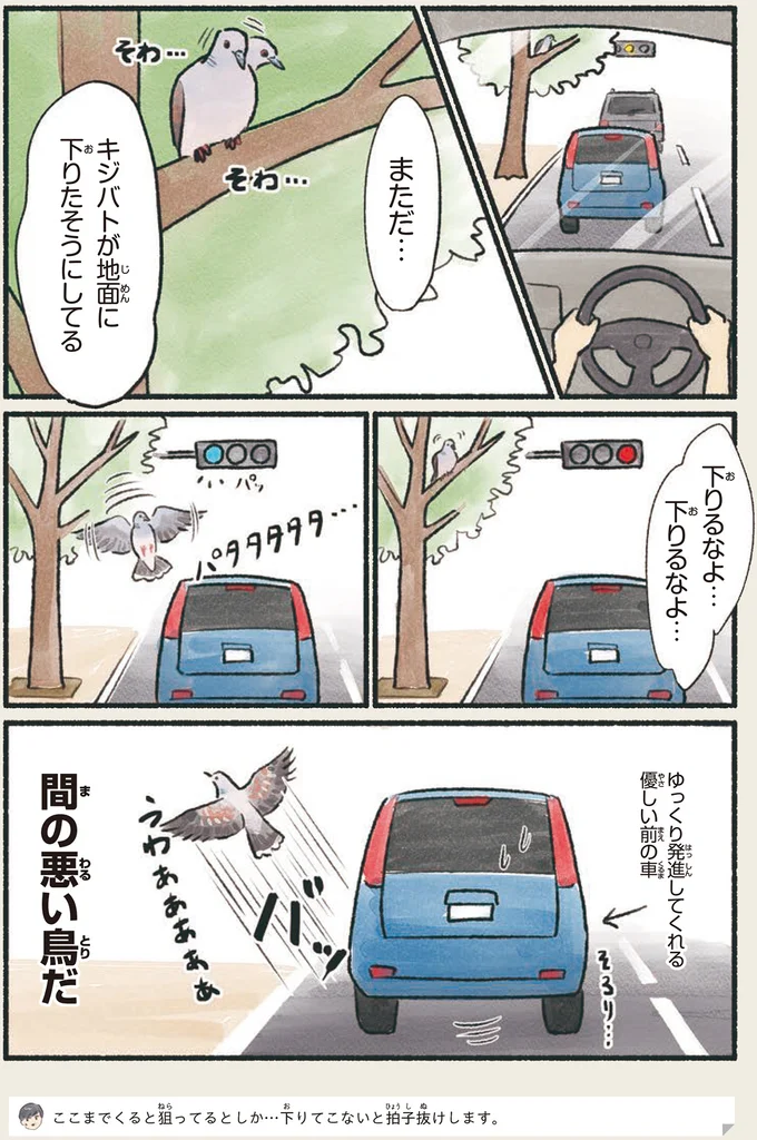 『意外と知らない鳥の生活 1〜2』 32.webp