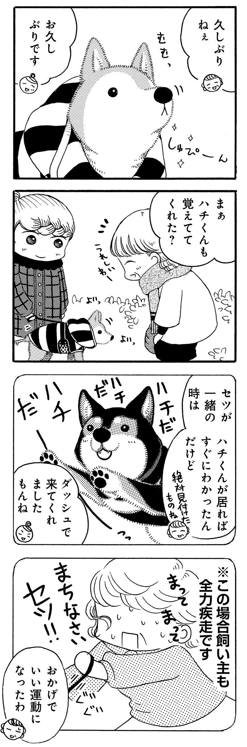 じいちゃん柴犬が散歩で出会うお友達。いなくなった今も...／じじ柴ハチさん 3.jpg