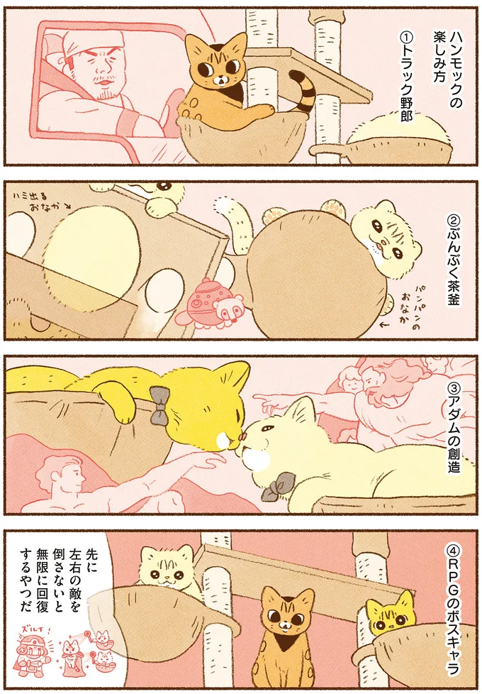 『しまねこ3姉妹と暮らしています　深まるきずな編』 13539129.webp