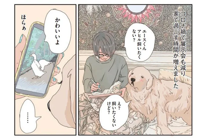 焼きもちやきの愛犬。アヒルをお迎えを「納得させた一言」は／エースくんとヨバンさん